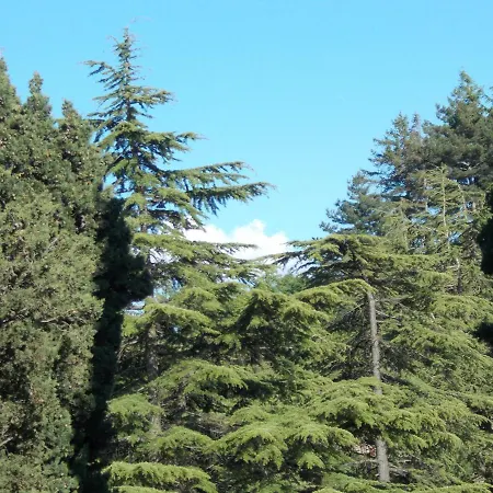 La Vecchia Castelnuovo di Val di Cecina
