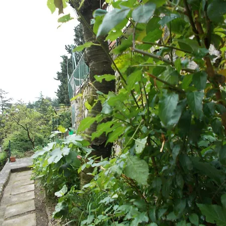 La Vecchia Castelnuovo di Val di Cecina