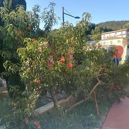 La Vecchia Castelnuovo di Val di Cecina