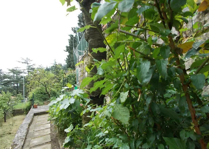 La Vecchia Castelnuovo di Val di Cecina