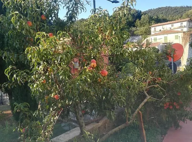 La Vecchia Castelnuovo di Val di Cecina